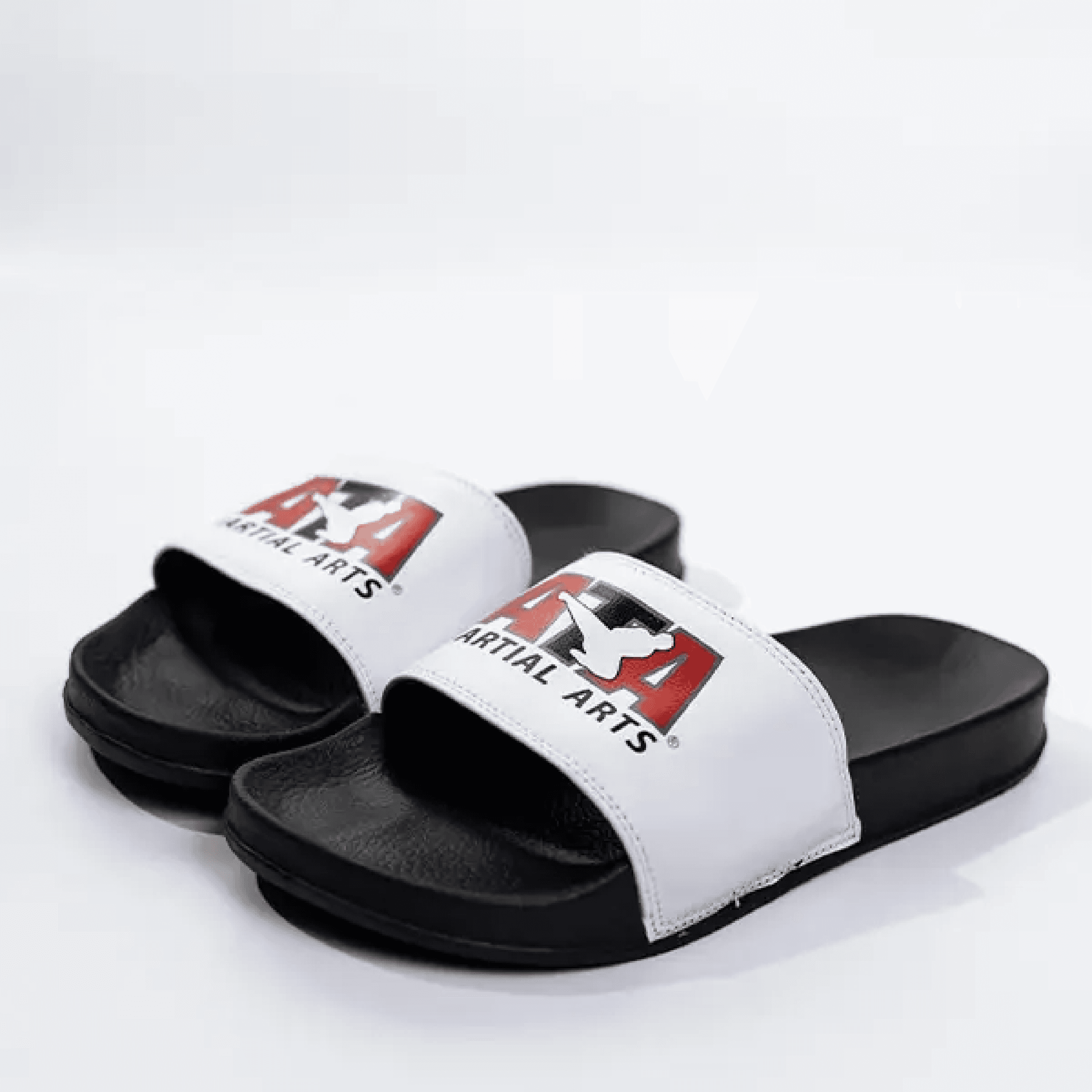 ATA MA Slides - image 2 of 2